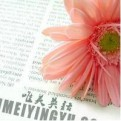 云笺识略的头像