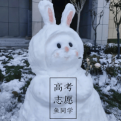 海澨勘典的头像
