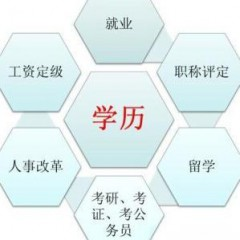 隐史寻源的头像